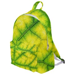 Photosynthesis Leaf Green Structure The Plain Backpack