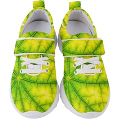 Photosynthesis Leaf Green Structure Kids  Velcro Strap Shoes by Wegoenart