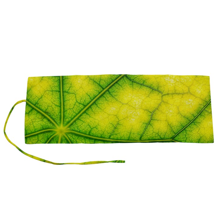 Photosynthesis Leaf Green Structure Roll Up Canvas Pencil Holder (S)