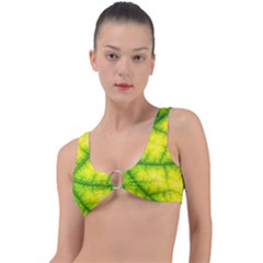 Photosynthesis Leaf Green Structure Ring Detail Bikini Top by Wegoenart