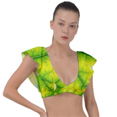 Photosynthesis Leaf Green Structure Plunge Frill Sleeve Bikini Top