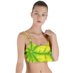 Photosynthesis Leaf Green Structure Layered Top Bikini Top 