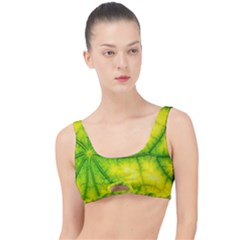 Photosynthesis Leaf Green Structure The Little Details Bikini Top