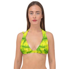 Photosynthesis Leaf Green Structure Double Strap Halter Bikini Top