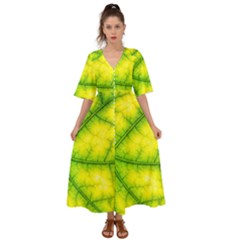 Photosynthesis Leaf Green Structure Kimono Sleeve Boho Dress