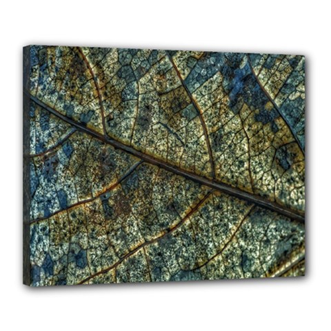 Leaf Leaves Fall Foliage Structure Canvas 20  X 16  (stretched) by Wegoenart