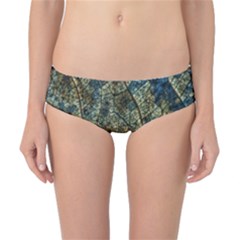 Leaf Leaves Fall Foliage Structure Classic Bikini Bottoms by Wegoenart