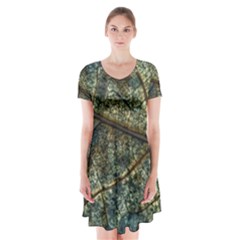 Leaf Leaves Fall Foliage Structure Short Sleeve V-neck Flare Dress by Wegoenart