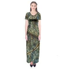 Leaf Leaves Fall Foliage Structure Short Sleeve Maxi Dress by Wegoenart