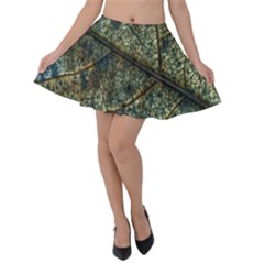 Leaf Leaves Fall Foliage Structure Velvet Skater Skirt by Wegoenart