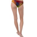 Color Abstract Colorful Art Ring Detail Bikini Bottom View2