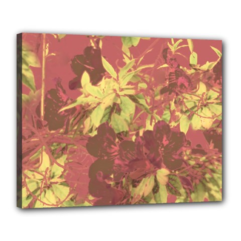 Tropical Vintage Floral Artwork Print Canvas 20  X 16  (stretched) by dflcprintsclothing