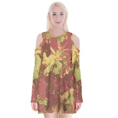 Tropical Vintage Floral Artwork Print Velvet Long Sleeve Shoulder Cutout Dress by dflcprintsclothing