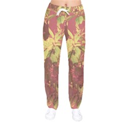 Tropical Vintage Floral Artwork Print Women Velvet Drawstring Pants by dflcprintsclothing