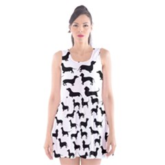 Dachshunds! Scoop Neck Skater Dress by ZeeBee