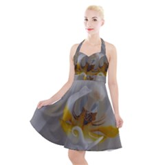 Orchidée Blanche Fleur Halter Party Swing Dress 