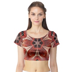 Star Pattern Red Abstract Short Sleeve Crop Top by Vaneshart