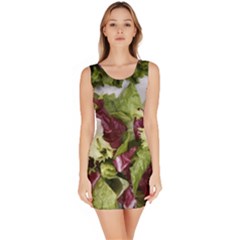 Salad Lettuce Vegetable Bodycon Dress by Sapixe