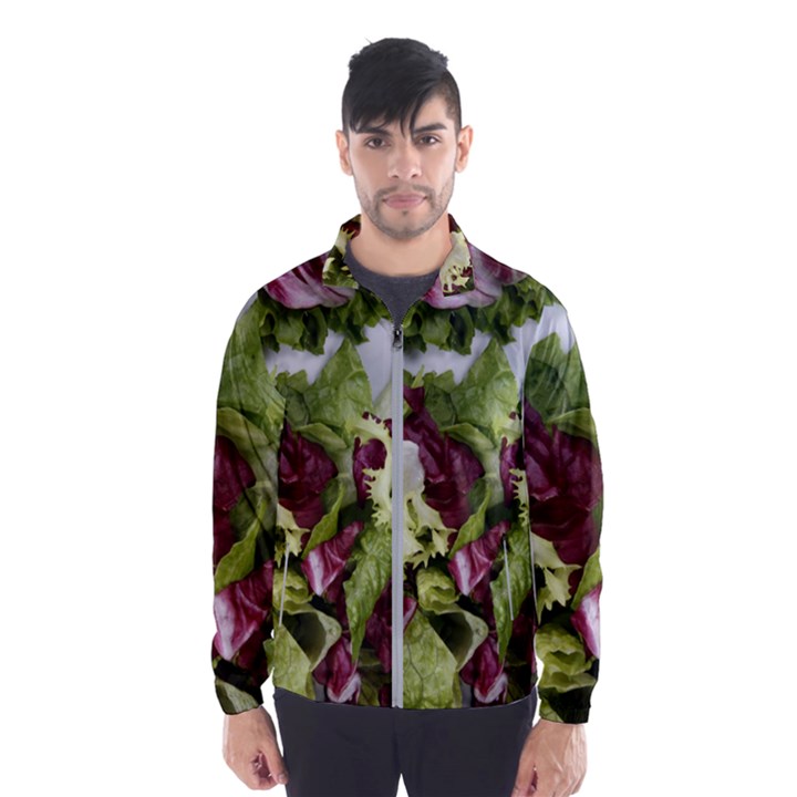 Salad Lettuce Vegetable Men s Windbreaker