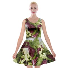 Salad Lettuce Vegetable Velvet Skater Dress by Sapixe