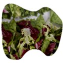 Salad Lettuce Vegetable Head Support Cushion View3