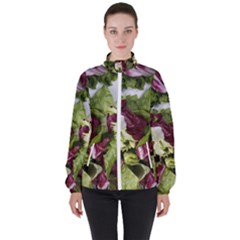 Salad Lettuce Vegetable Women s High Neck Windbreaker by Sapixe