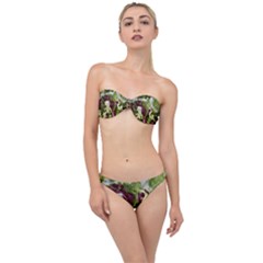 Salad Lettuce Vegetable Classic Bandeau Bikini Set