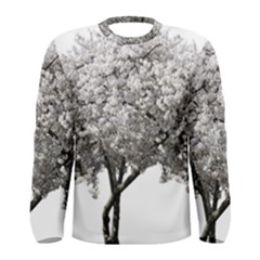 Nature Tree Blossom Bloom Cherry Men s Long Sleeve Tee