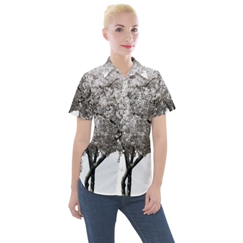 Nature Tree Blossom Bloom Cherry Women s Short Sleeve Pocket Shirt by Sapixe