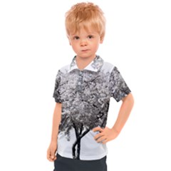 Nature Tree Blossom Bloom Cherry Kids  Polo Tee