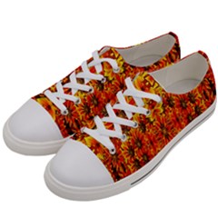 Ab 110 Women s Low Top Canvas Sneakers by ArtworkByPatrick