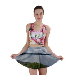 Lake Wallenpaupack Mini Skirt by canvasngiftshop