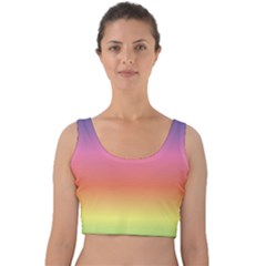 Rainbow Shades Velvet Crop Top by designsbymallika