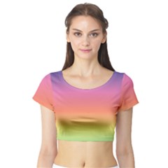 Rainbow Shades Short Sleeve Crop Top by designsbymallika