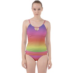 Rainbow Shades Cut Out Top Tankini Set by designsbymallika