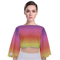 Rainbow Shades Tie Back Butterfly Sleeve Chiffon Top by designsbymallika