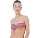 RAINBOW SHADES Classic Bandeau Bikini Top  View1