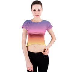 Rainbow Shades Crew Neck Crop Top by designsbymallika