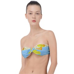 Salad Fruit Mixed Bowl Stacked Classic Bandeau Bikini Top 