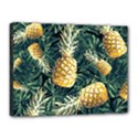 Pattern Ananas Tropical Canvas 16  x 12  (Stretched) View1