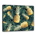 Pattern Ananas Tropical Canvas 20  x 16  (Stretched) View1