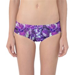 Botanical Violet Print Pattern 2 Classic Bikini Bottoms