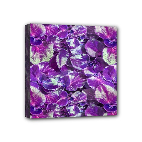 Botanical Violet Print Pattern 2 Mini Canvas 4  X 4  (stretched) by dflcprintsclothing