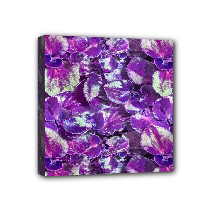 Botanical Violet Print Pattern 2 Mini Canvas 4  x 4  (Stretched)