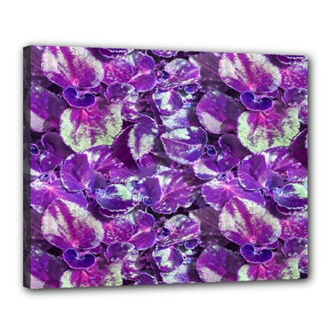 Botanical Violet Print Pattern 2 Canvas 20  X 16  (stretched) by dflcprintsclothing