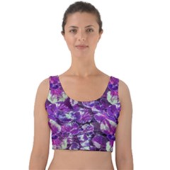 Botanical Violet Print Pattern 2 Velvet Crop Top by dflcprintsclothing