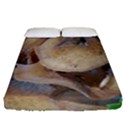 Close Up Mushroom Abstract Fitted Sheet (Queen Size) View1