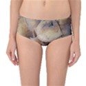 Close Up Mushroom Abstract Mid-Waist Bikini Bottoms View1