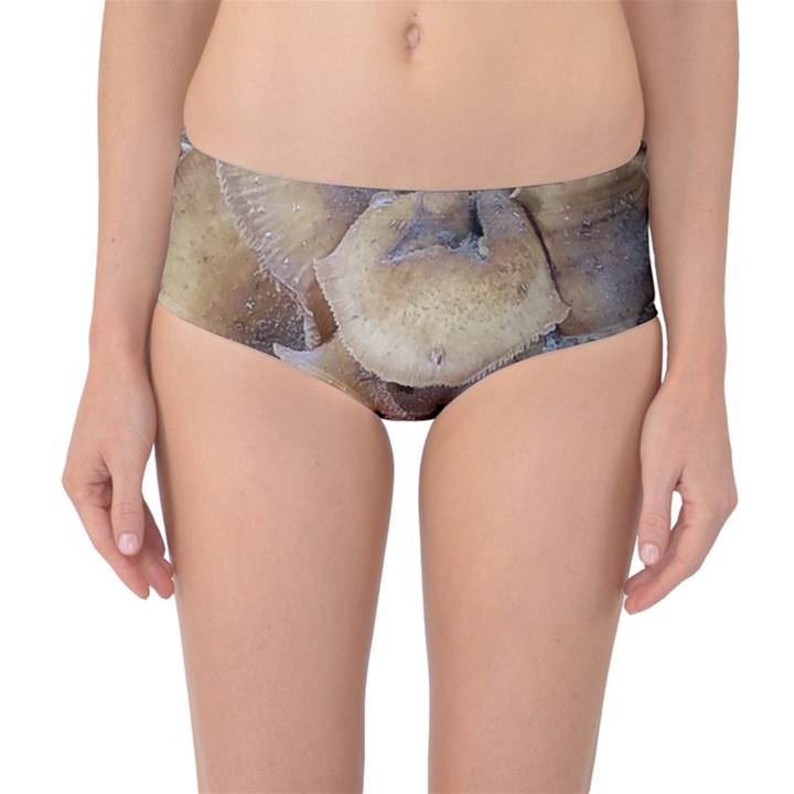 Close Up Mushroom Abstract Mid-Waist Bikini Bottoms