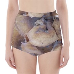 Close Up Mushroom Abstract High-waisted Bikini Bottoms